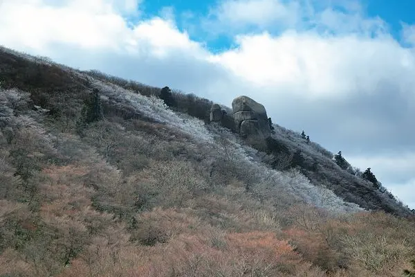 写真13 国見岳にて 写真13
