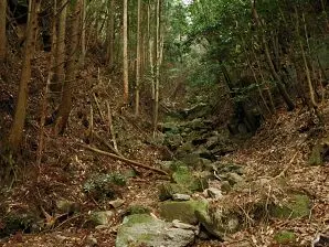 写真9 一ノ坂 写真9