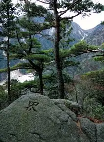 写真7 割谷ノ頭の山頂にて 写真7