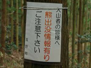 写真10 熊出没情報有り 写真10