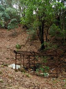 写真2 写真2