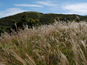 写真14 東雨乞岳を振り返る 写真14