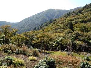 写真3 佐目峠 背後は東雨乞岳 写真3