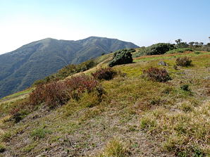 写真6 イブネ 背後は雨乞岳 写真6