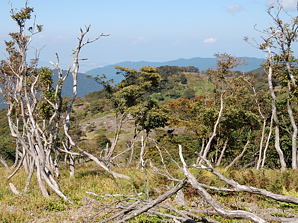 写真7 イブネ 写真7