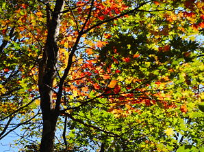 写真12 写真12
