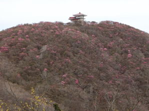 写真3 御嶽大権現の西面 写真3