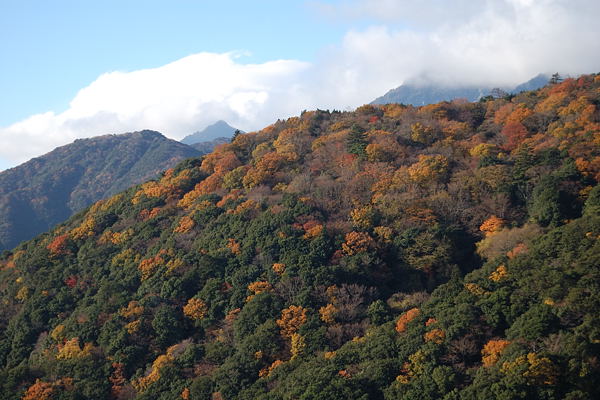 写真5 写真5