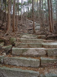 写真6 三岳寺跡・石段 写真6