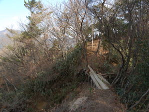 写真11 北尾根の登山道 写真11