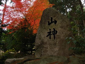 写真14 写真14