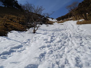 写真3 井戸谷 写真3