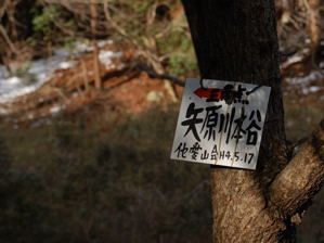 写真2 標識 写真2