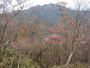 写真11 釈迦ヶ岳 写真11 釈迦ヶ岳