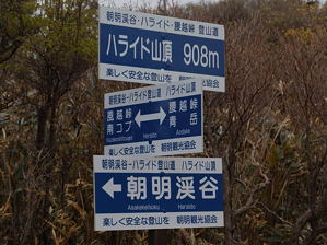 写真12 ハライドの標識 写真12 ハライドの標識