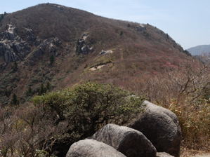 写真18 国見岳北面 写真18 国見岳北面