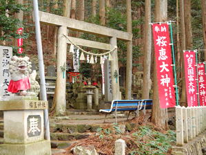 写真4 写真4