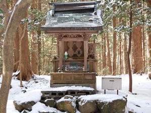 写真11 山頂 写真11