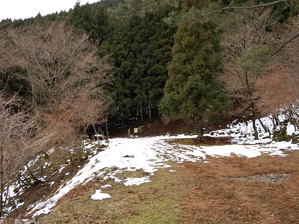 写真3 林道終点 写真3