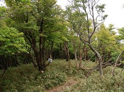 写真2 仙香山 写真2
