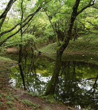 写真1 仙香池 写真1