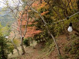 写真3 写真3