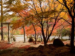 写真4 鳥居道山山神 前庭 写真4