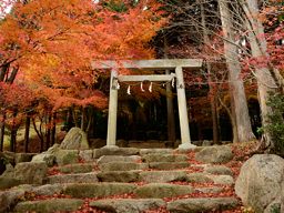 写真5 鳥居道山山神 写真5
