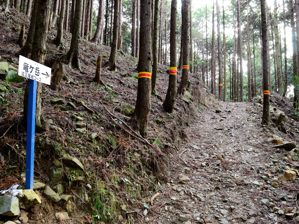 写真1 遠足尾根ルート登山口 写真1