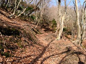 写真2 遠足尾根 道形が残る 写真2