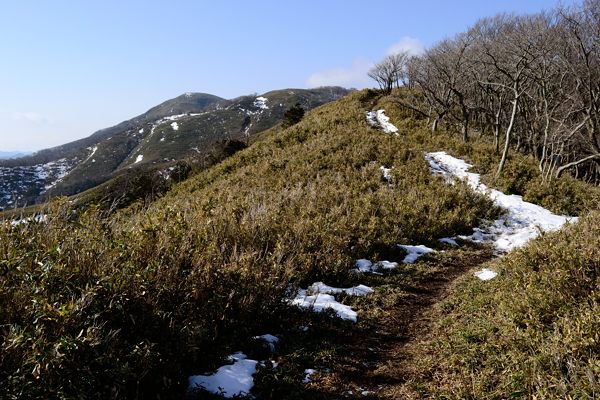写真3 遠足尾根、左は竜ヶ岳山頂、まだ遠い 写真3