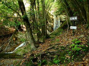 写真1 三角点峰南面 ヤマザクラが見える 写真1