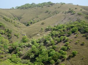 写真1 三角点峰南面 ヤマザクラが見える 写真1