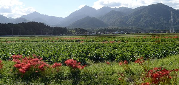 写真7 御在所岳方面を見る 写真7