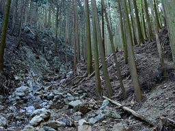 写真3 写真3