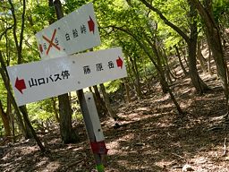 写真5 十字路標識 坂本谷は通れない 写真5