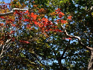 写真6 写真6