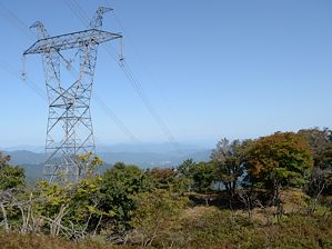 写真7 写真7