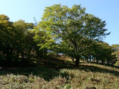 写真8 写真8