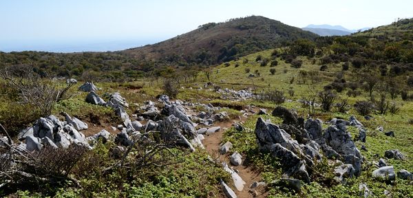 写真17 カレンフェルトの道 写真17