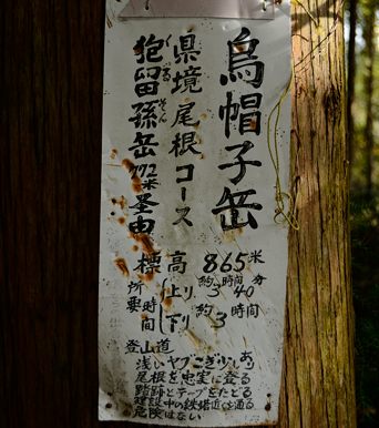 写真1 清水神明社・林道入口の案内板、内容は古い 写真1