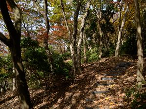 写真5 県境尾根 写真5