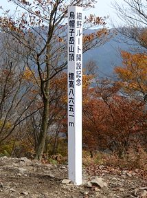写真10 県境尾根 写真10
