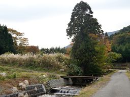 写真13 鉄橋 写真13