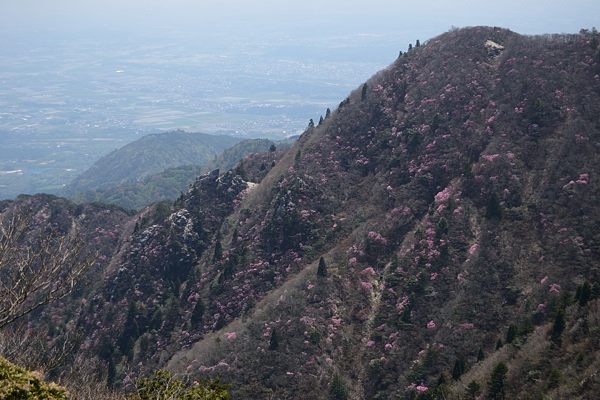 写真6 岩ヶ峰北面 写真6