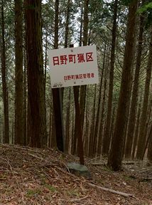 写真4 林道終点にて 写真4