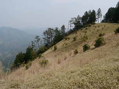 写真6 西山 写真6