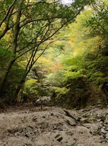 写真1 三ツ口谷入口 写真1
