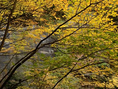 写真2 奥の堰堤付近 写真2