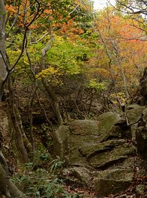 写真4 大滝 写真3